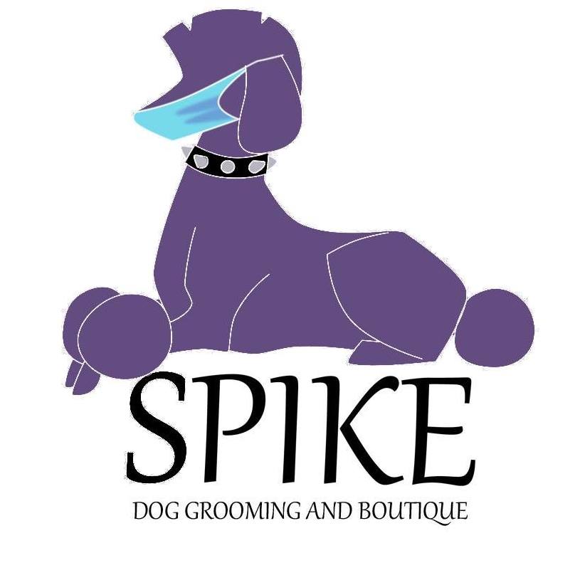 Spike Dog Grooming & Boutique - Heart of Biddeford